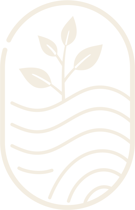 BANCHA — баня. чай. люди